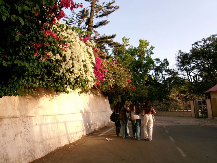 Kodak Pixpro FZ53 przykladowe zdjecia