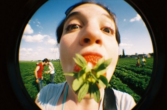 Lomo Fisheye II – przykładowe zdjęcie