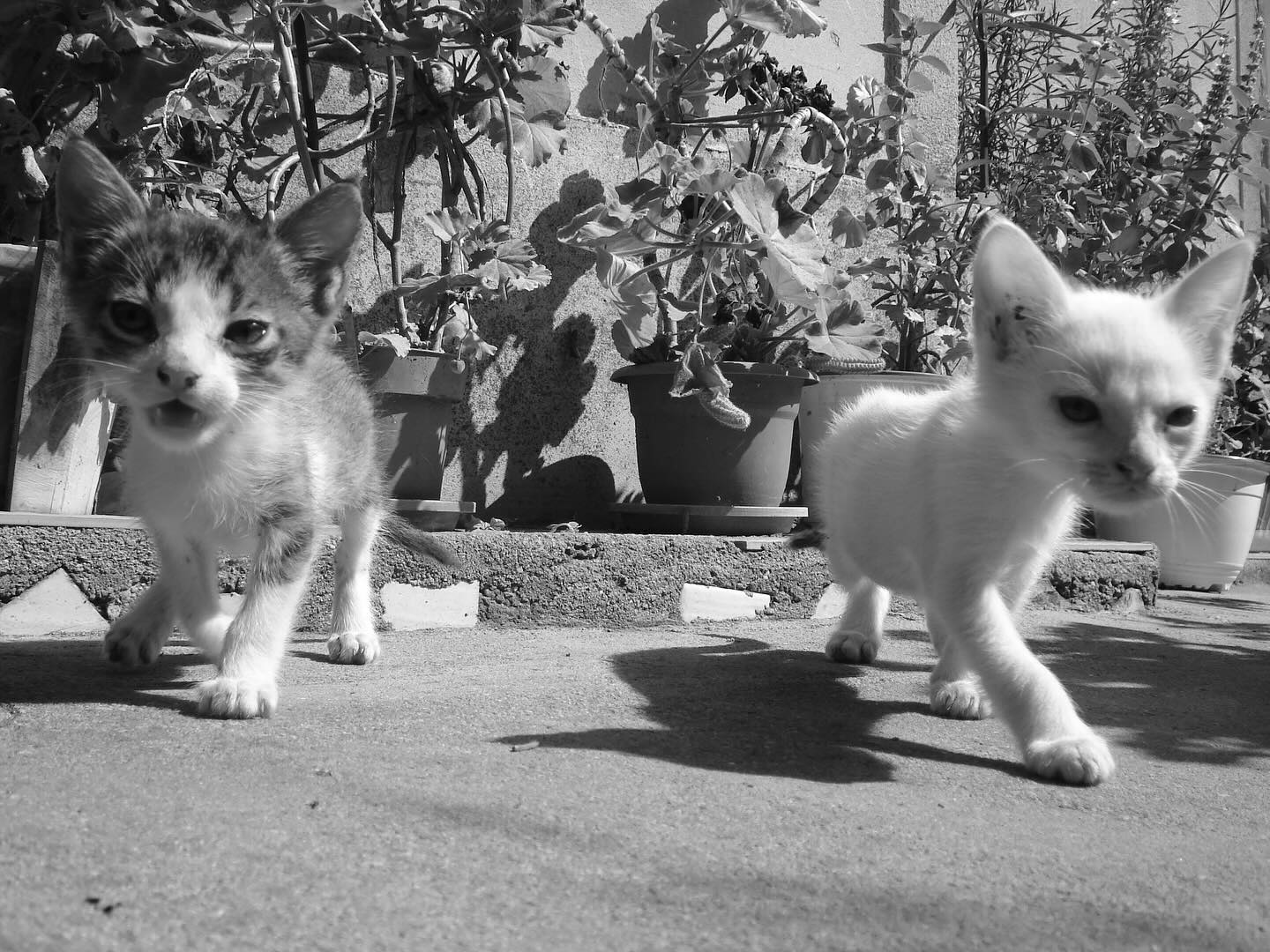 Sony Cybershot DSC-W310 przykladowe zdjecie