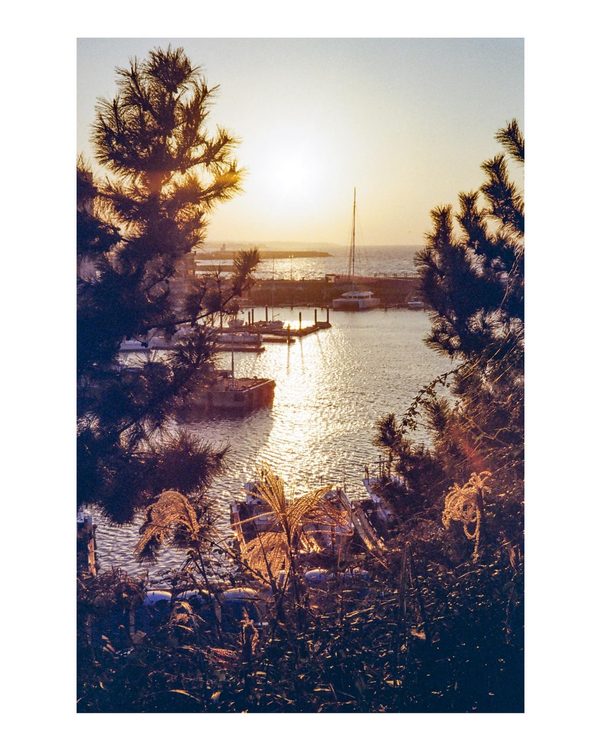 Braun Trend Zoom S-60 (1)