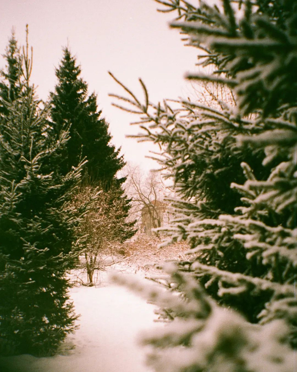 Olympus Viewzoom 120