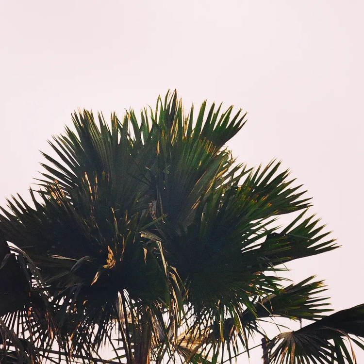 Olympus Superzoom 140s