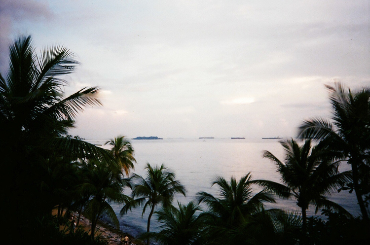 Canon prima junior DX