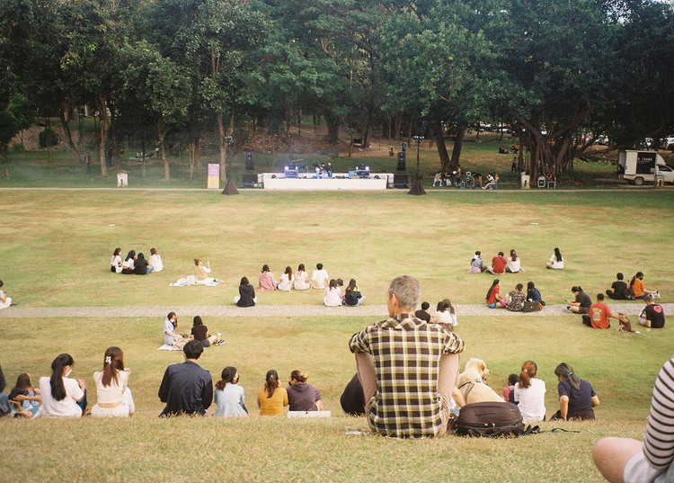 Canon Prima Zoom 65 AiAF