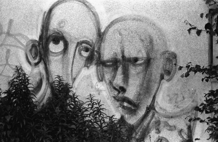 Olympus Viewzoom 120