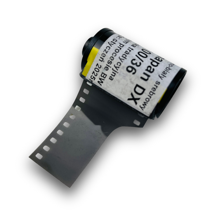 Klisza Fomapan 100/36