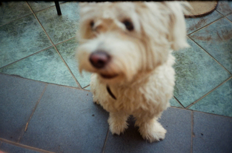 Praktica P90 AF Super