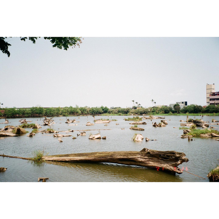 Olympus Superzoom 105