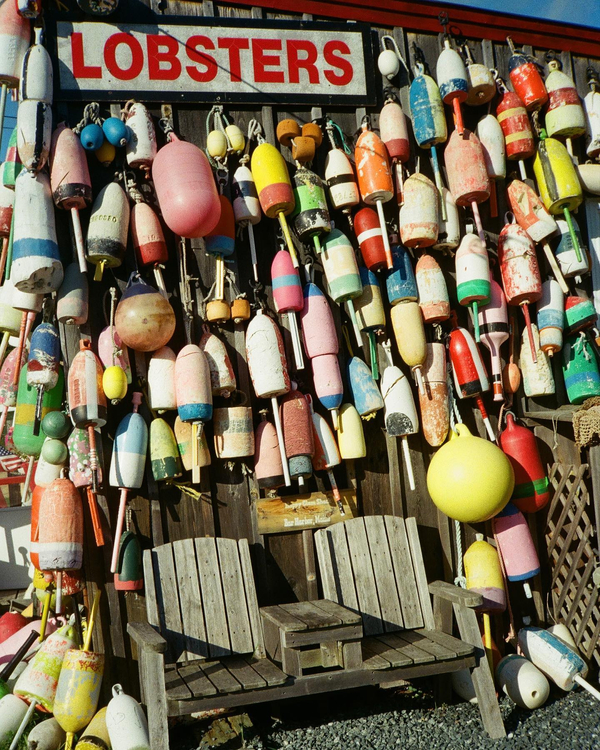 Aparat analogowy Minolta AF-E