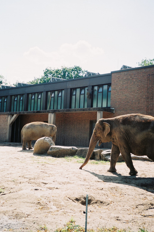 Olympus Mju I zoom 70