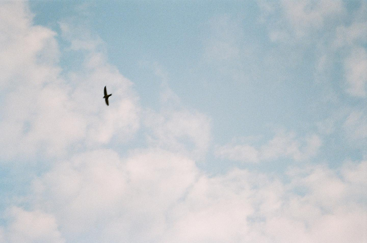 Fujifilm DL-270 zoom super