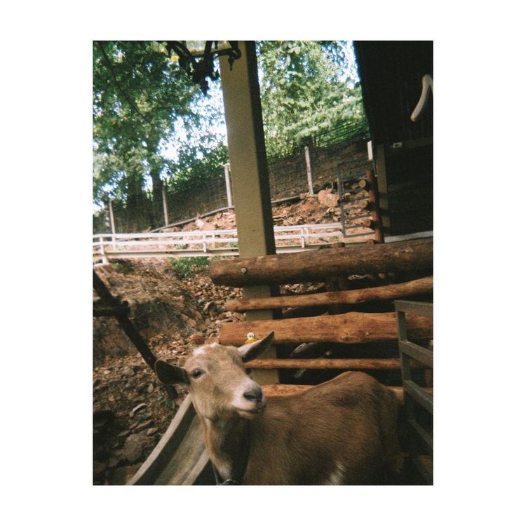 Fujifilm Clear Shot Plus