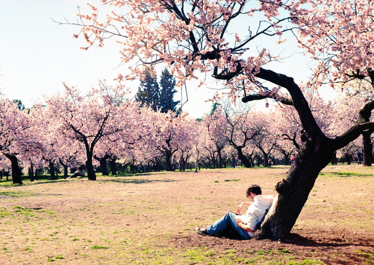 Aparat analogowy Canon EOS 300 SET