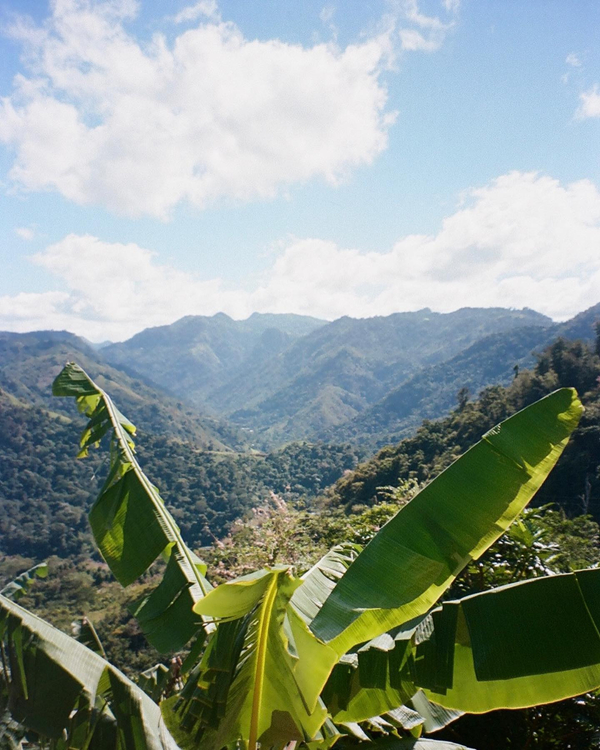 Minolta Family Zoom II