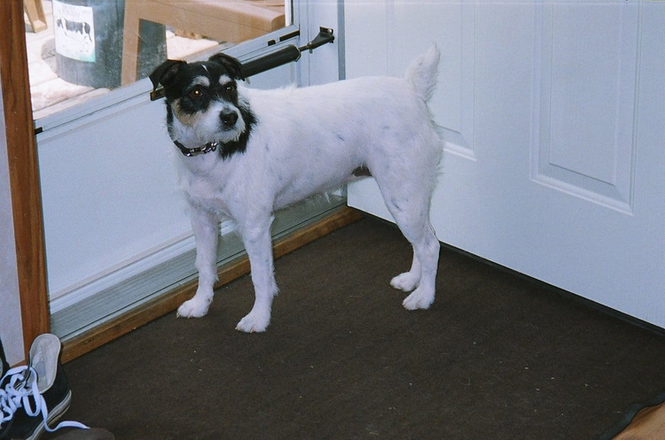 Samsung maxima zoom 105