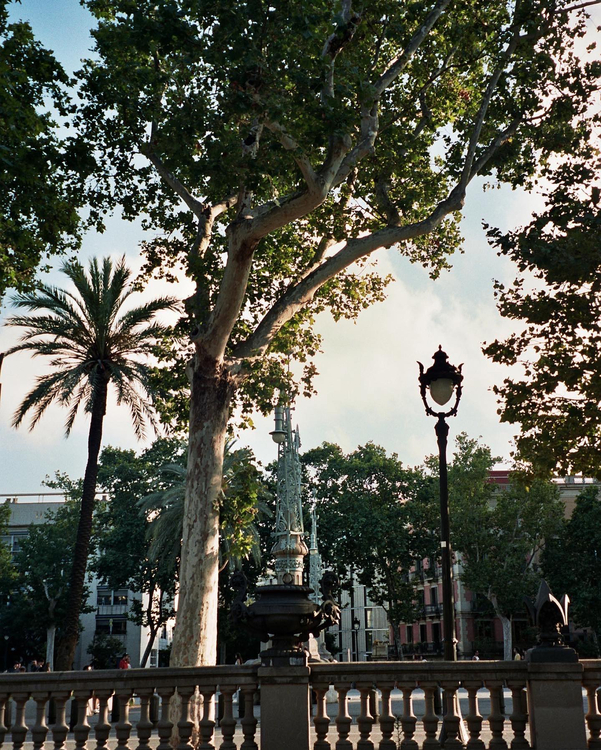 Aparat analogowy Olympus Superzoom 115