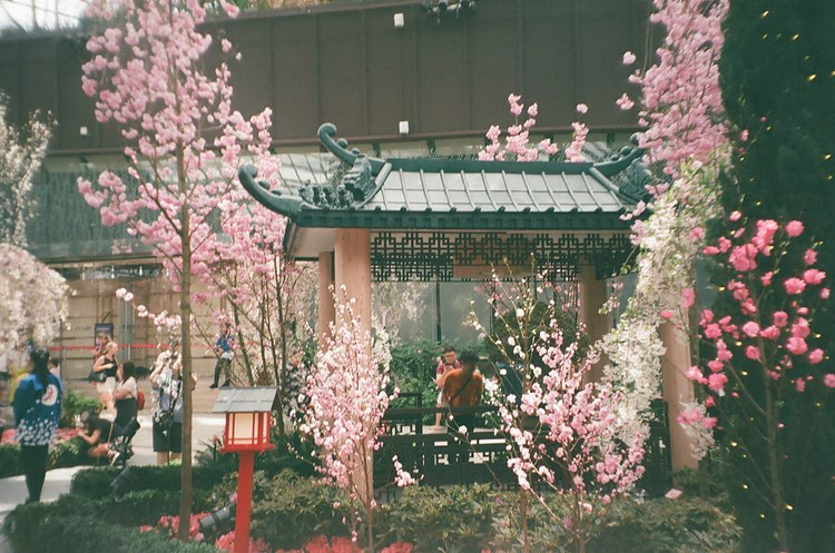 Aparat analogowy Fujifilm Zoom 120v