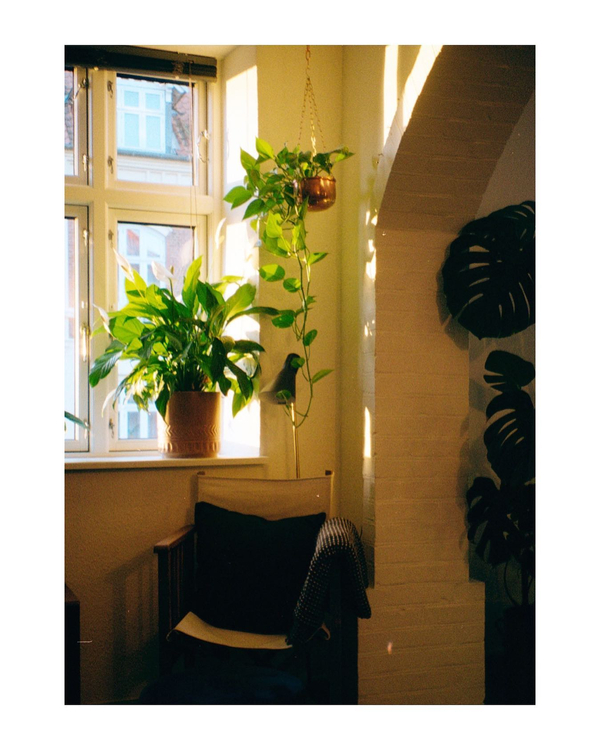 Olympus AZ-230 Superzoom