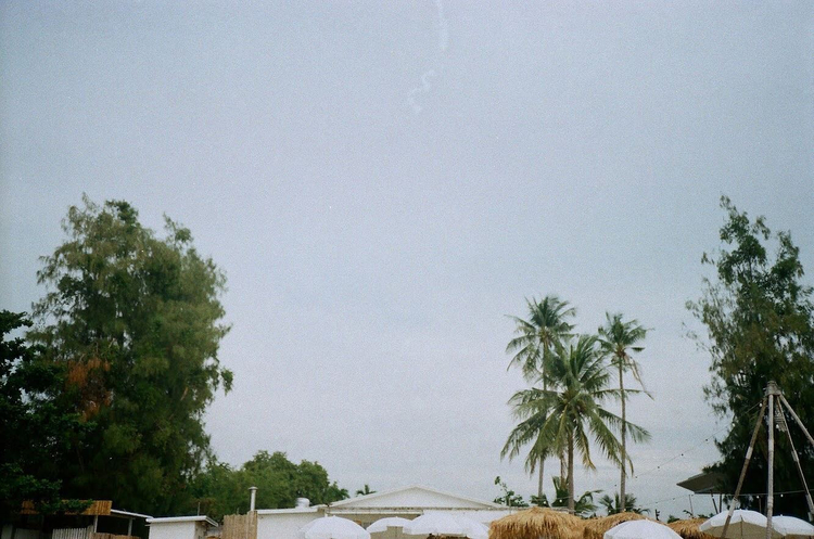 Yashica Auto Focus Motor II Quartz