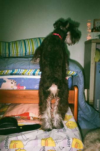 Aparat analogowy Yashica Microtec Zoom 70