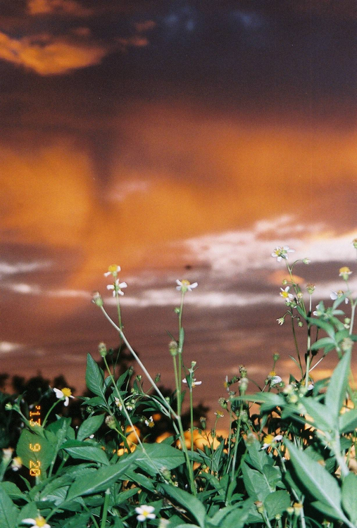 Aparat analogowy Samsung Fino 70