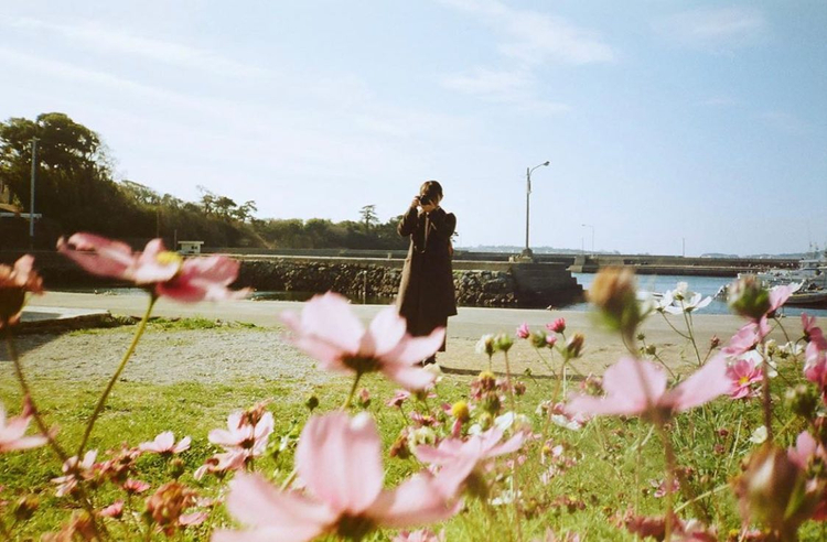 Aparat analogowy Minolta AF-E