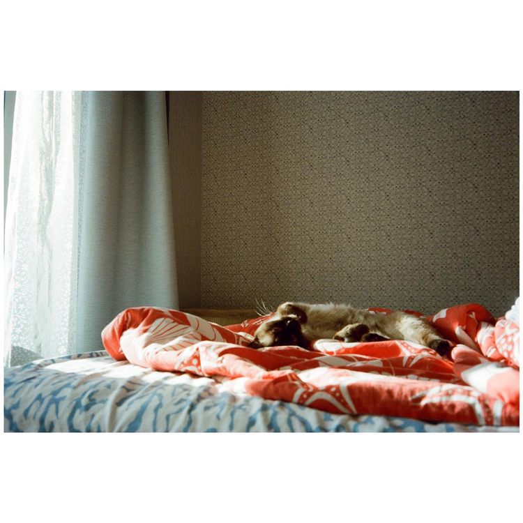 Aparat analogowy Kodak Sport S100 EF