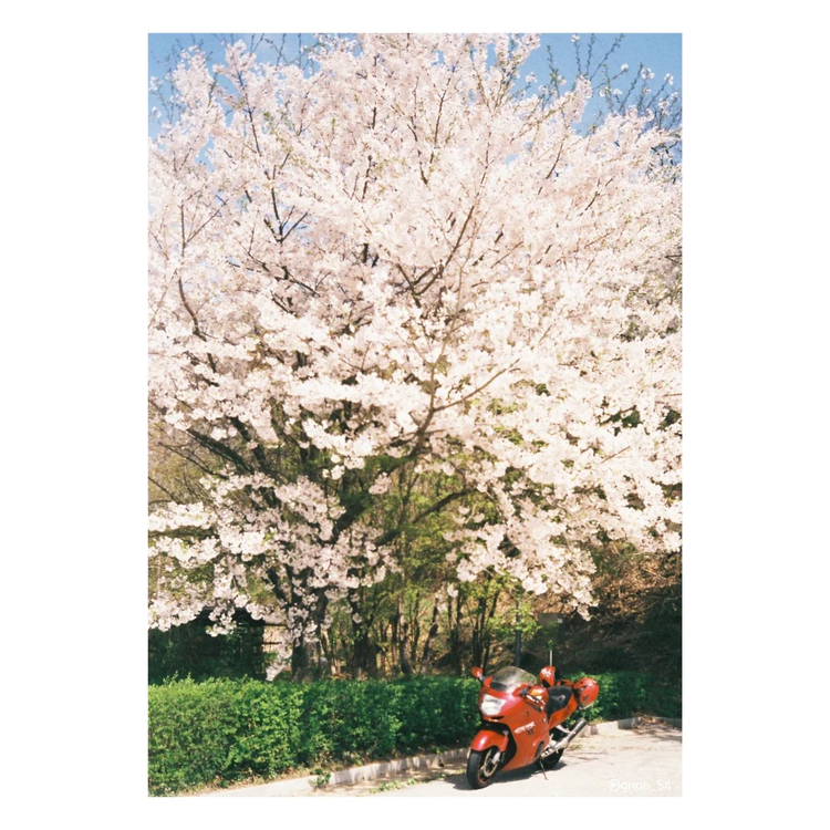 Yashica Minitec Super