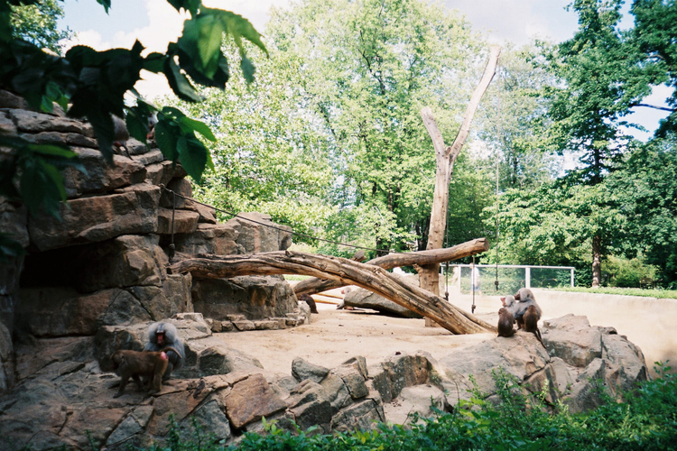 Olympus Mju I zoom 70