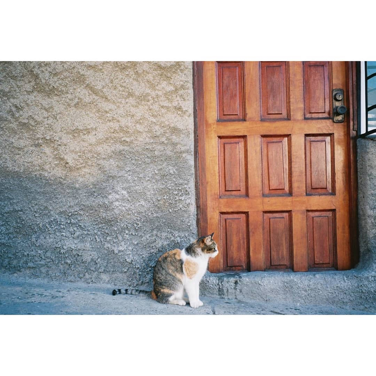 Aparat analogowy Fuji FZ-2000 zoom