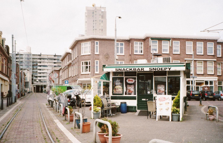 Aparat analogowy Ricoh 800 MZ