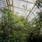 Aparat analogowy Fujifilm Clearshot M II 2