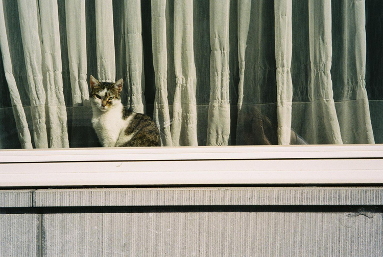 Aparat analogowy Olympus AZ-200 Superzoom Date