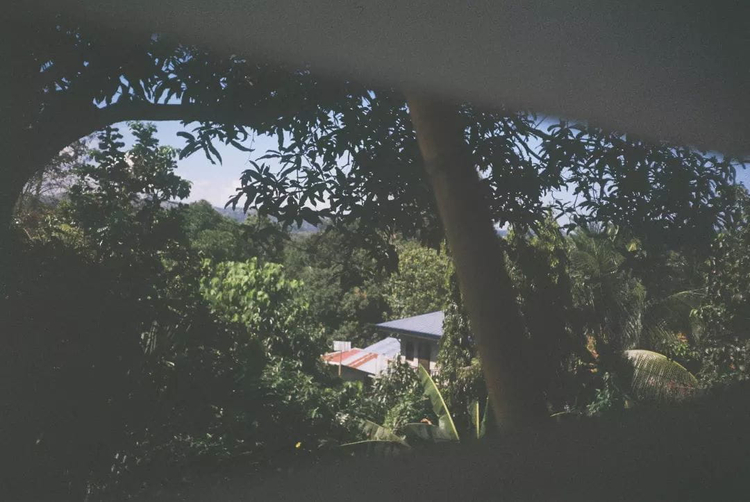 Canon Prima BF-7 by JANOSH