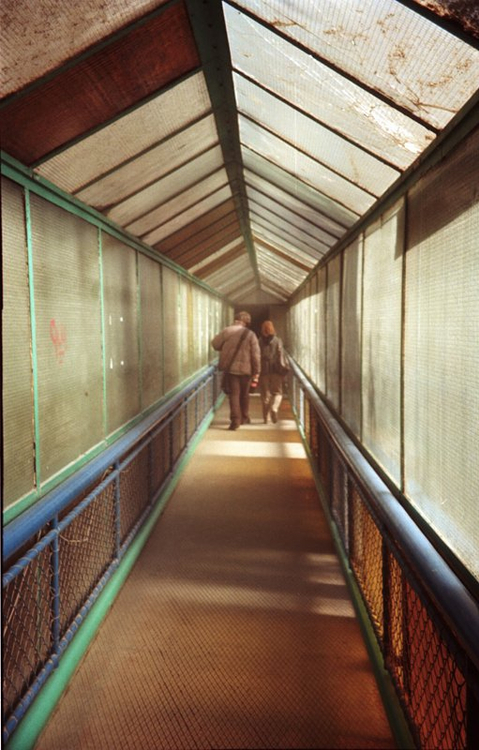 Olympus Superzoom 80g