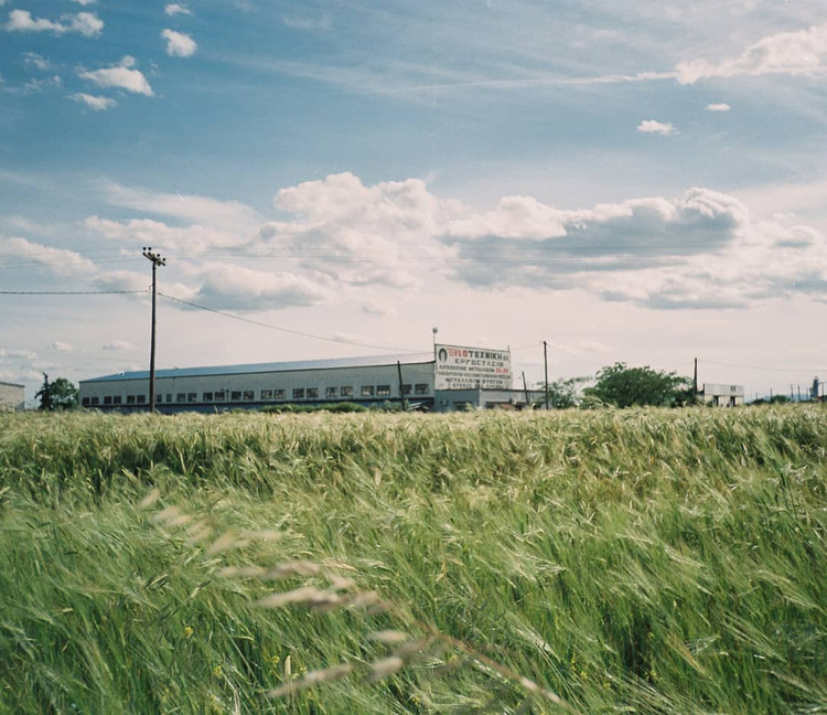 Aparat analogowy Nikon AF 250