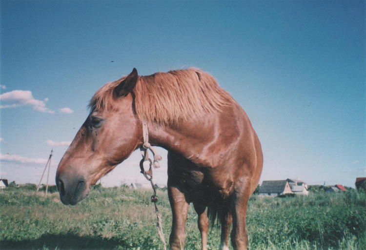 Praktica Sport QT One