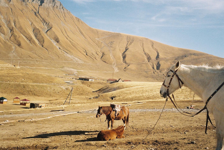 Aparat analogowy Olympus Stylus Zoom (MJU I Zoom)