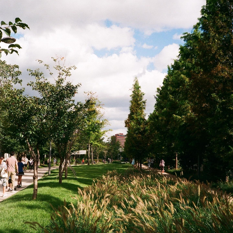 Yashica Minitec Super