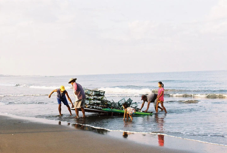 Aparat analogowy Olympus IS-5000