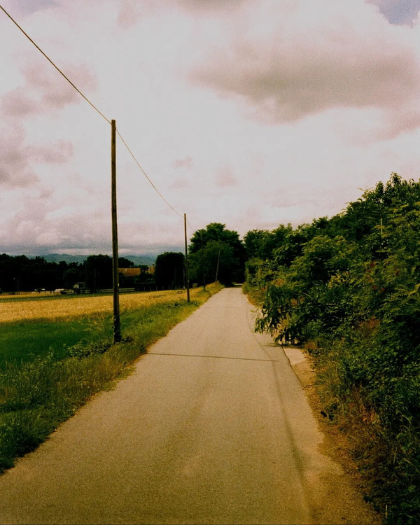 Aparat analogowy Nikon Zoom 600AF