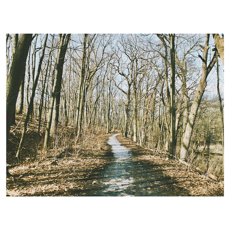 Aparat analogowy Olympus IS-5000