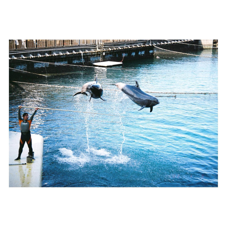 Olympus Superzoom 120