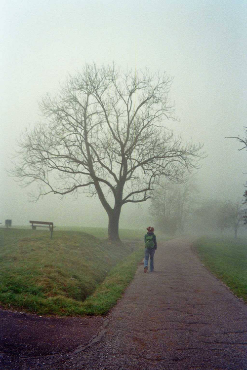 Aparat analogowy Braun Trend Zoom 110