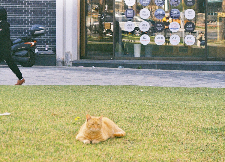 Aparat analogowy Fujifilm Zoom Date 120