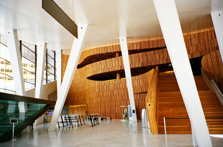 Nikon Lite touch zoom 120ed AF