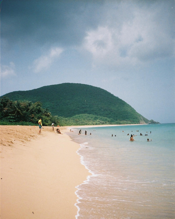 Aparat analogowy Nikon RF