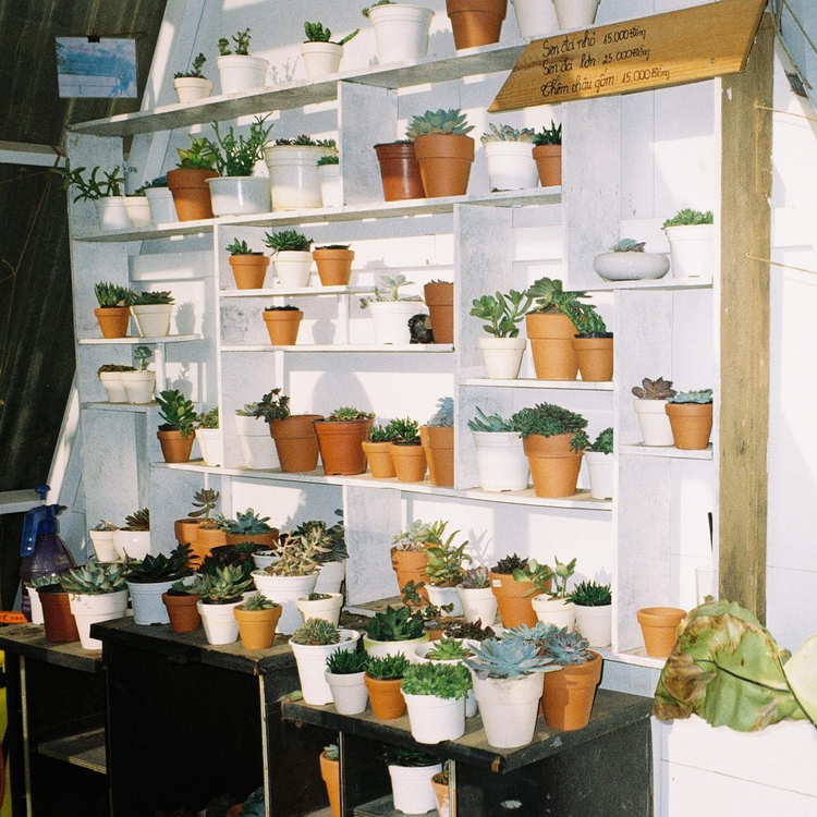 Aparat analogowy Olympus Superzoom 140s OZ140S