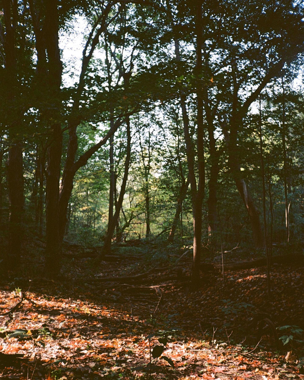 Aparat analogowy Kodak KC20