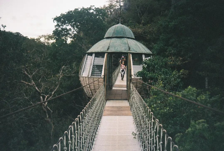 Kodak Cameo Focus Free